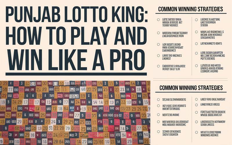 Punjab Lotto King 